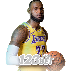 JDBLITZ sports page showing basketball and football betting markets with login register access and mobile app download option